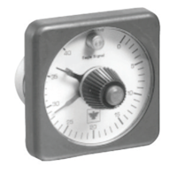 191 Series Push-Button Reset Timer