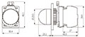Dimensional Drawing for L2RR Series 22/25 Millimeter (mm) Diameter Pilot Light