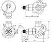 Dimensional Drawing for TPS30 Series Non-Indicating Pressure Transmitter